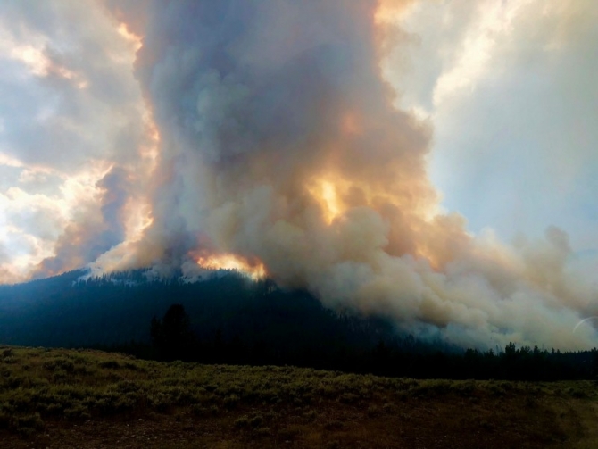 Wildfire on Bacon Ridge, Montana
