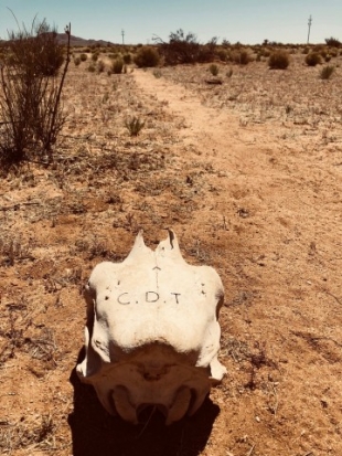 Ominous sign in Big Hatchet Wilderness, New Mexico.