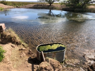 Water source in Big Hatchet Wilderness, New Mexico.