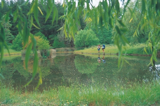 Taking a break in the Golden valley Tree Park