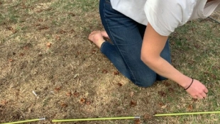 Removing cord