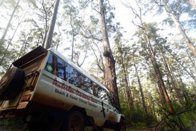 4WD vehicle