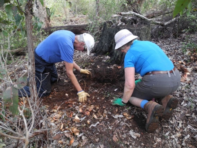 Volunteers work on the new trail