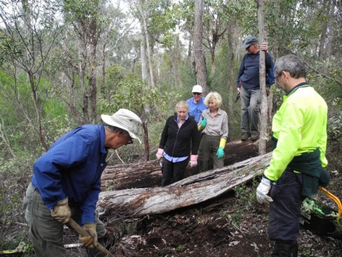 It takes many to watch someone build a trail!
