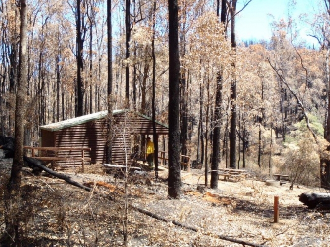 Fire comes dangerously close to the shelter