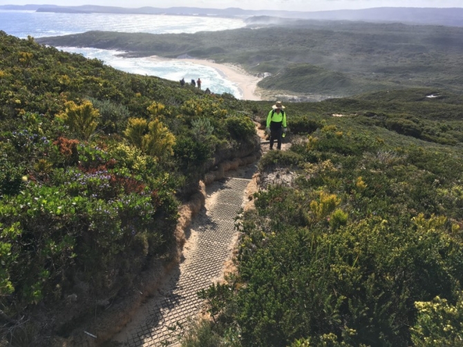 View from the top surrounded by wildflowers.