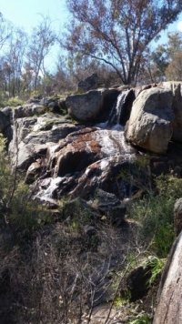 Another waterfall near Manns Gully