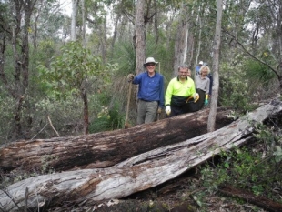 Maintenance volunteers build new trail