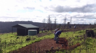 Tents sites being constructed at Blackwood Campsite