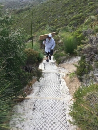 Many timber sleepers had to be moved from the bottom to the top of the hill before work could start.
