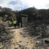 The toilet, standing but damaged