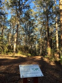 Bibbulmun Track Friendship sign