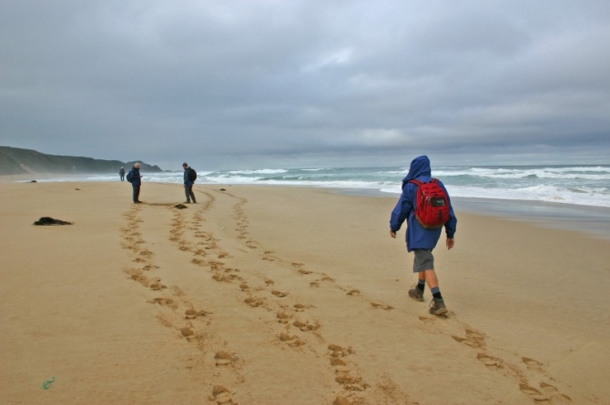 The trail following the beach.