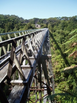 Percy Burn Viaduct, the largest wooden viaduct in the southern hemisphere.