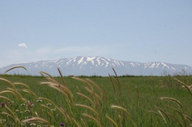 Mt Herman Jabal Sheikh.