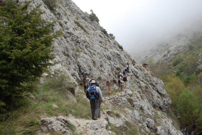 Negotiating a narrow pathway.