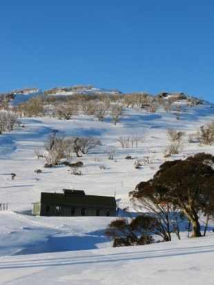 Schlink Hut.