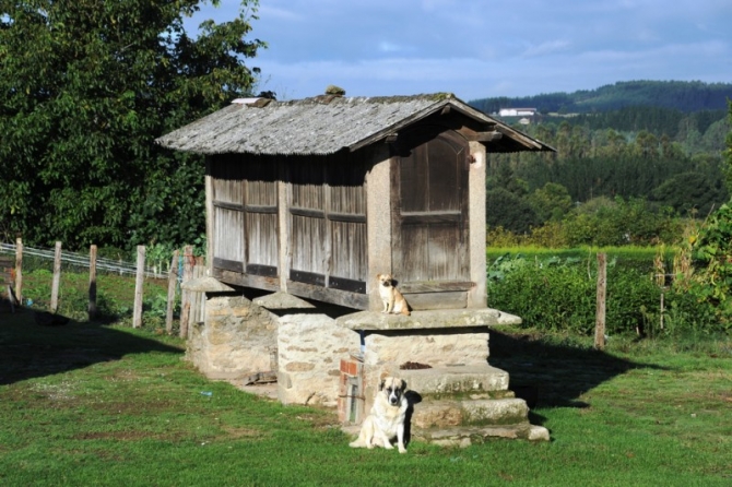 Traditional corn storage - complete with guard dogs!