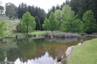 The Golden Valley Tree Park showcases trees from around the world.
