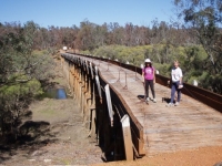 Long Gully Bridge is a rare example of a curved timber railway bridge in Western
Australia.
