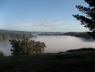 Mist over the Blackwood Valley.