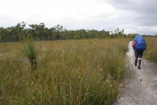 Often waterlogged in winter, the plains come alive with wildflowers between spring and autumn.