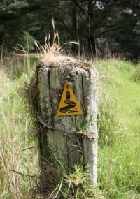 Waugal trail marker