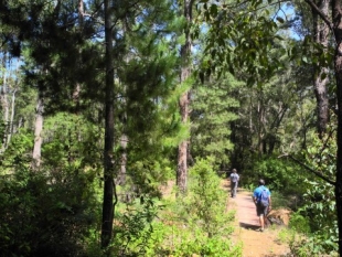 Wellington spur trail