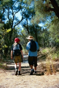 Walking the Track can be an easy stroll.