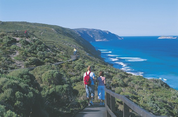 See awe-inspiring views of the Southern Ocean.