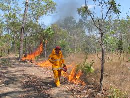 Prescribed burning to reduce fuel loads.