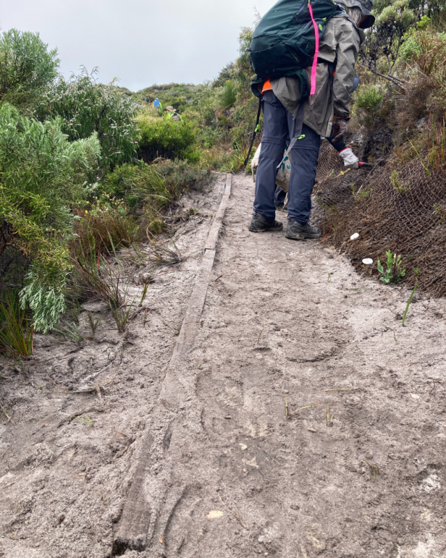 Conspicuous Cliffs north, edge boards and coir mesh maintained